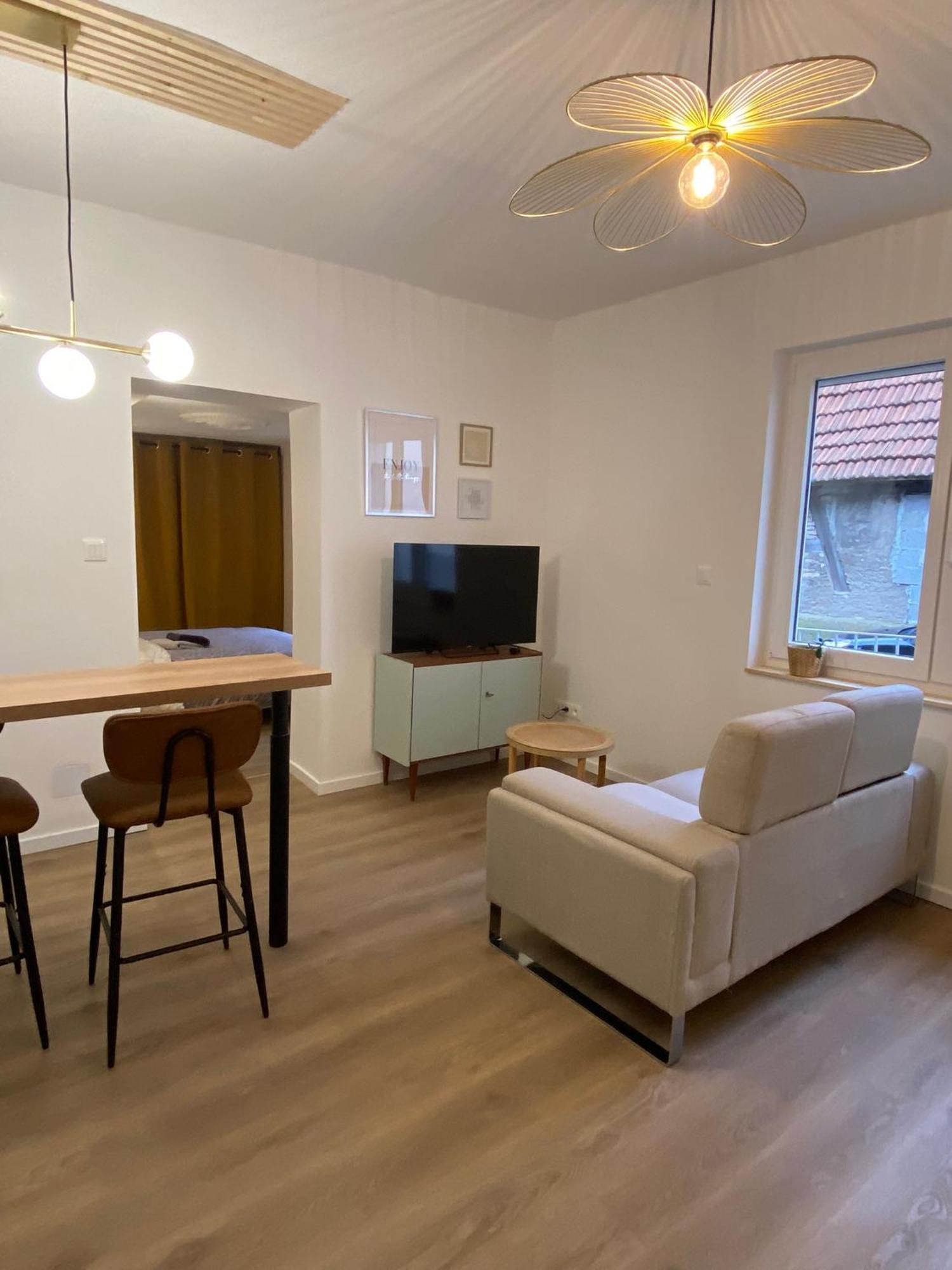 Appartement Cosy Soufflenheim 외부 사진